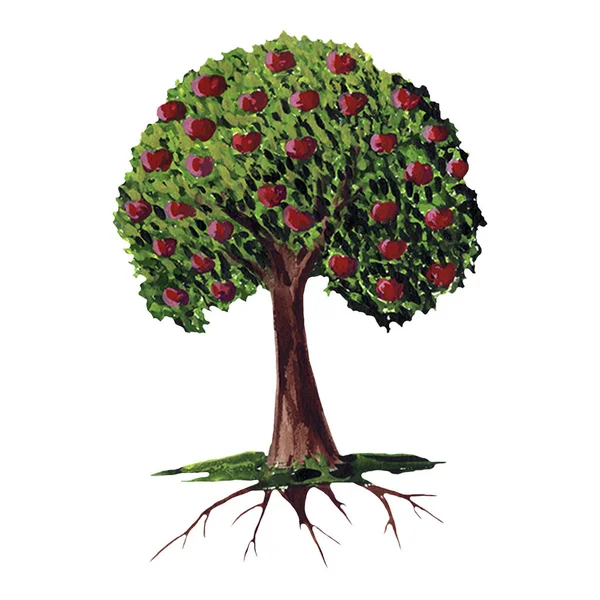 Hand drawn watercolor apple tree illustration. Summer, autumn, harvest. Sweet garden fruit on a tree