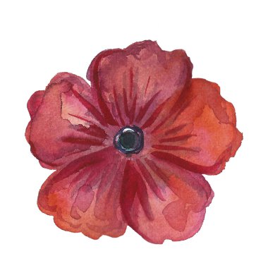 Çiçek beyaz arka plan üzerinde ayarlayın. Çiçek çiçeği. Flourish süs bahar bahçe çiçek doku.