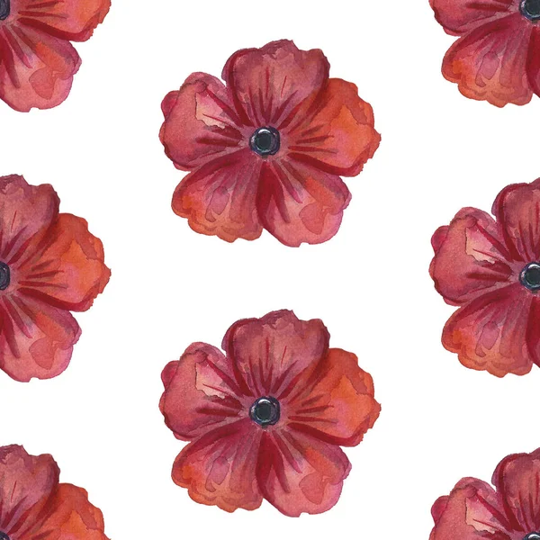 Floral set pattern. Flower seamless background. Flourish ornamental spring garden bloom texture. — Stock Photo, Image