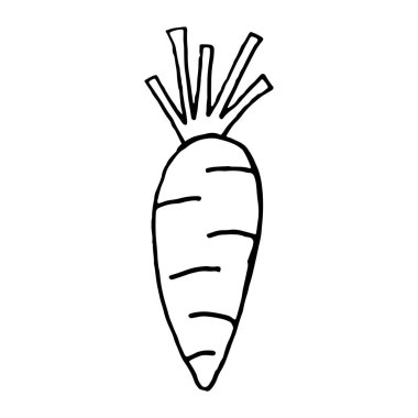 Davetiye, tebrik kartı, tişört, baskılar, sosyal medya, bloglar ve posterler için bitkisel harfler ve kaligrafi cümlesi. Vektör illüstrasyonu.