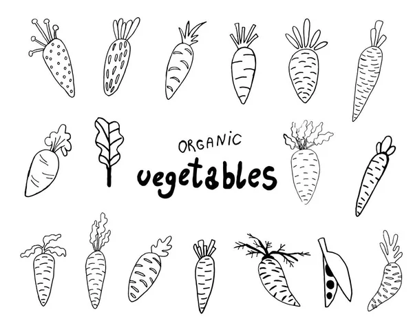 Conjunto de zanahorias blanco y negro.Frase de letras y caligrafía vegetal para invitación, tarjeta de felicitación, camiseta, estampados, redes sociales, blogs y carteles. . — Vector de stock