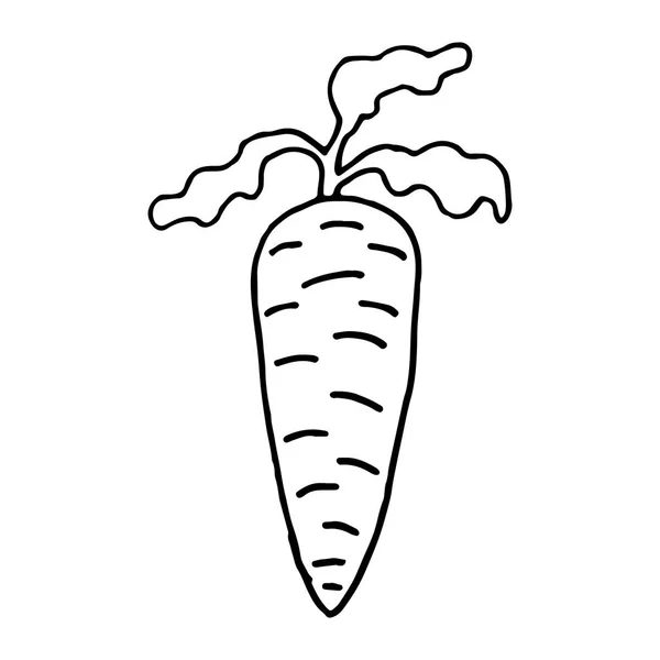 Carrot set black and white.Vegetable lettering and calligraphy phrase for invitation, greeting card, t-shirt, prints, social media, blogs and posters .Vector illustration. — 스톡 벡터