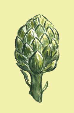 Beyaz arkaplanda yeşil enginarlar ve peynirli el boyası suluboya poster.