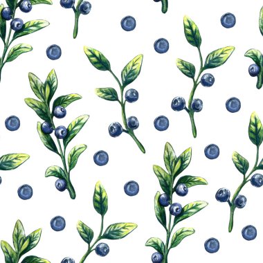 Suluboya tatlı yaban mersini desenli beyaz arka plan. El çizimi çizimi. Klasik stil.