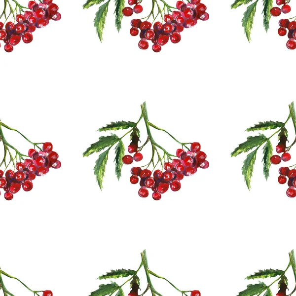 Rowan, canneberge d'automne, illustration de motif aquarelle de frêne de montagne, dessin isolé de feuilles et de baies rouges — Photo