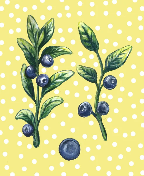 Aquarell süß leckere Blaubeeren isoliert auf gelb. handgezeichnete Illustration. Jahrgangsstil. — Stockfoto