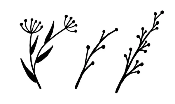 Vadvirágok kézzel rajzolt vektorillusztrációja — Stock Vector