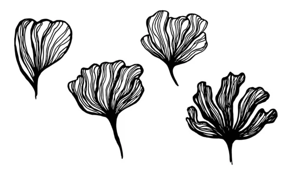 El çizilmiş çiçek yapraklarının silueti — Stok Vektör