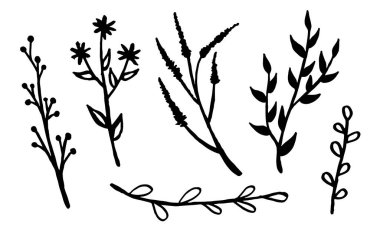 Kır çiçeklerinin el çizimi vektör çizimi