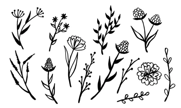 Ručně kreslené vektorové znázornění divokých květin — Stockový vektor