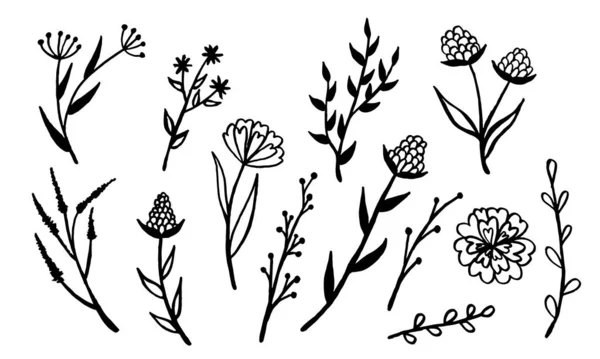 Handgetekende vector illustratie van wilde bloemen — Stockvector