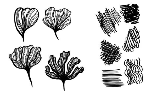 El çizilmiş çiçek yapraklarının silueti — Stok Vektör