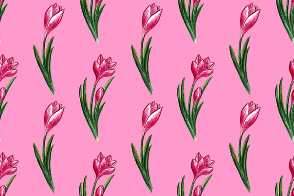 봄 꽃의 색깔 묘사 — 스톡 사진