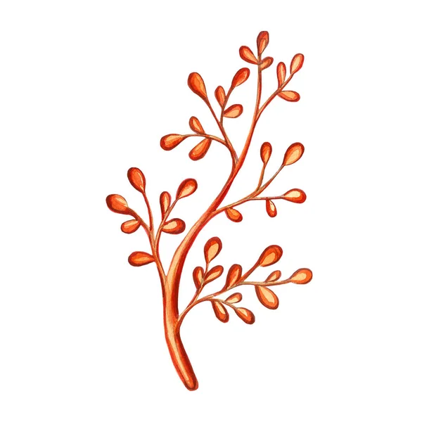 Ručně Kreslená Značka Znázorňující Větev Rostliny Květinový Designový Prvek Jarní — Stock fotografie