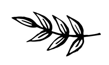 Bitkilerin el çizimi vektör çizimi