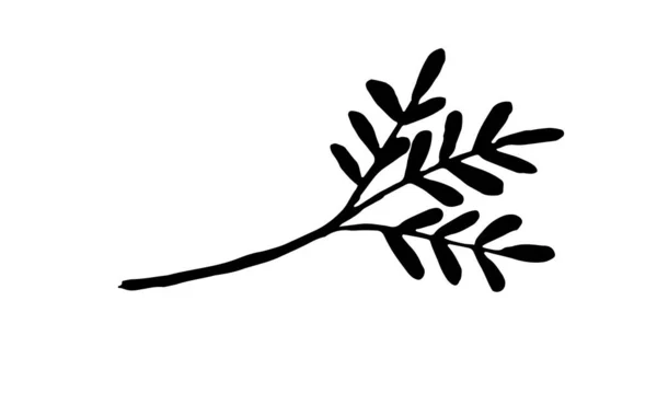 Illustration vectorielle dessinée à la main d'herbes — Image vectorielle