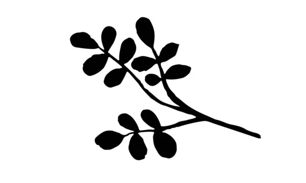 Векторная иллюстрация трав вручную — стоковый вектор