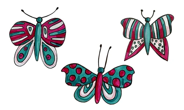 Ручная коллекция бабочек — стоковое фото