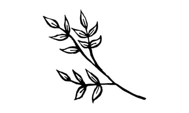 Bitkilerin el çizimi vektör çizimi