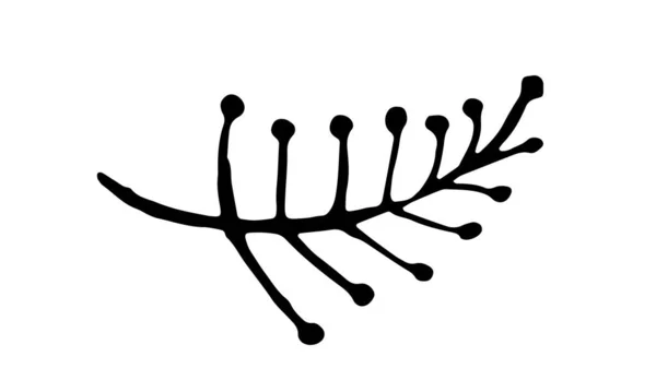 Handgezeichnete Vektorillustration von Kräutern — Stockvektor