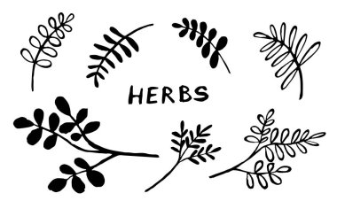 Elle çizilmiş bitki koleksiyonu