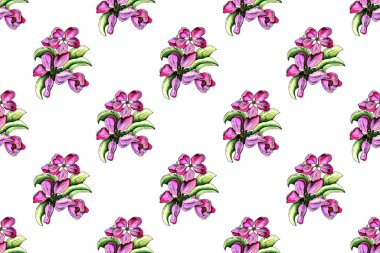 Tomurcuklanan elma ağacı çizimi