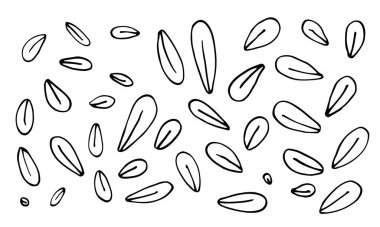 El yapımı yaprak koleksiyonu