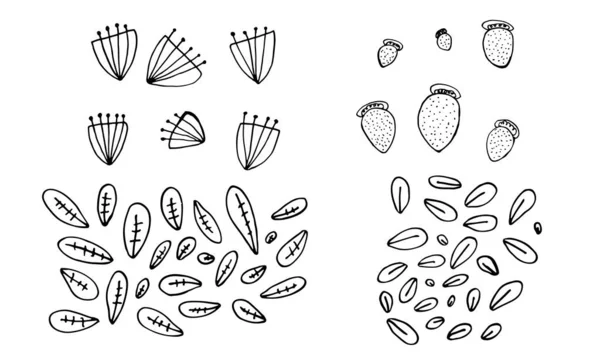 Raccolta di teste e foglie di fiori disegnati a mano — Vettoriale Stock