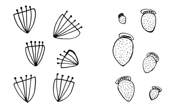 คอลเลกชันของหัวดอกไม้วาดด้วยมือ — ภาพเวกเตอร์สต็อก
