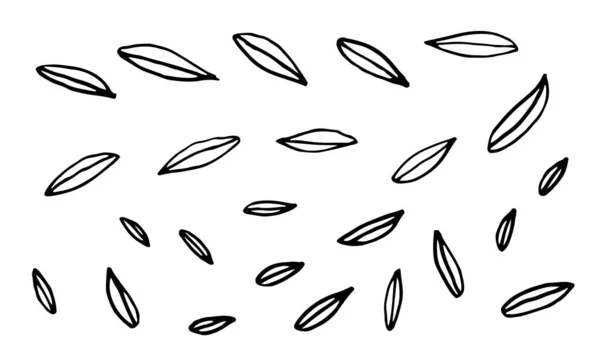 Kolekce ručně kreslených listů — Stockový vektor