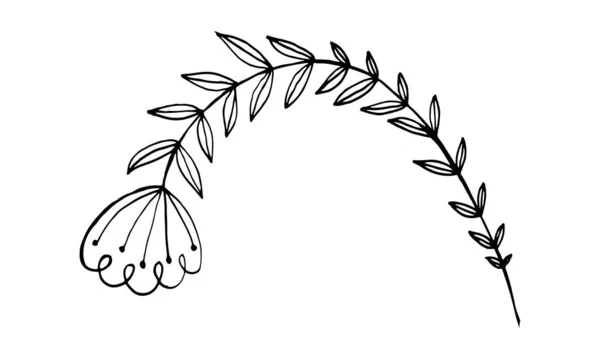 Illustrazione di fiori scarabocchiati disegnati a mano — Vettoriale Stock