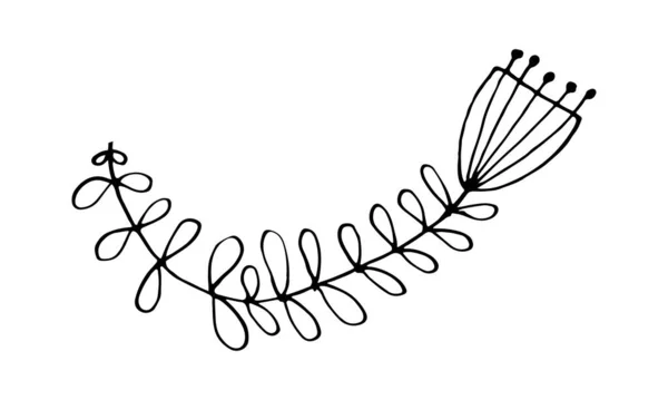 Ilustração de flor rabiscada desenhada à mão —  Vetores de Stock