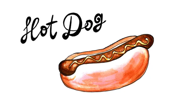 Hot dog, ilustracja żywności — Zdjęcie stockowe