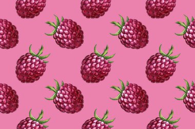 Elle çizilmiş ahududu resmi. Böğürtlenli kusursuz desen. Çiftlikte yetişen organik meyveler.