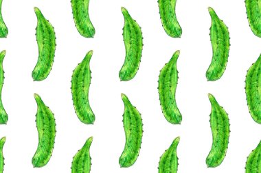 Sebzelerin kalem çizimi