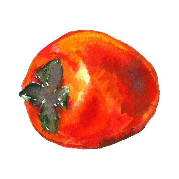 Handgezeichnete Illustration Von Persimmon Fruchtzeichnung Isoliert Auf Weißem Hintergrund Bio — Stockfoto