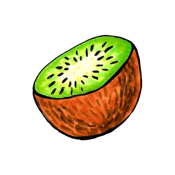 Illustration Dessinée Main Kiwi Dessin Fruits Isolé Sur Fond Blanc — Photo