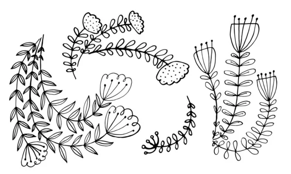 Verzameling van met de hand getrokken bloemen — Stockvector