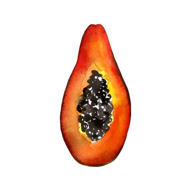 Patinin el çizimi çizimi