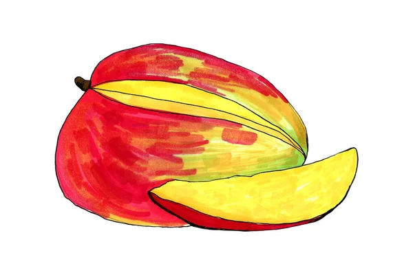 Illustration dessinée à la main de mangue — Photo