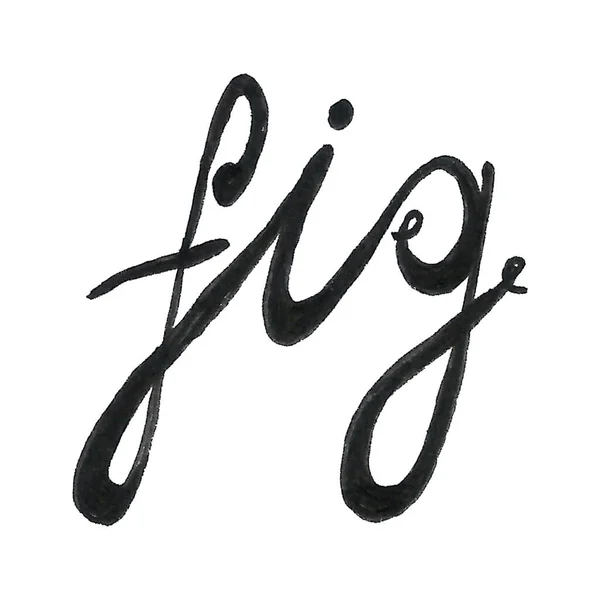 Hand drawn illustration of fig — Stock Photo, Image