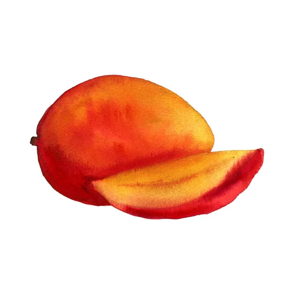 Ручная иллюстрация манго — стоковое фото