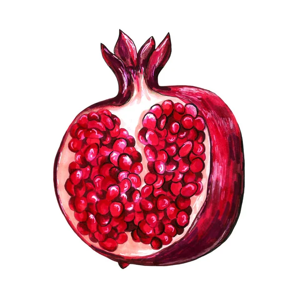Ručně kreslená ilustrace granátového jablka — Stock fotografie