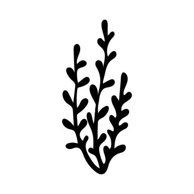 Potherbs 'ın vektör karalama çizimi. El yapımı sağlıklı sebzeler beyaz arka planda izole edilmiş. Bahçede yetişen organik sebzeler..