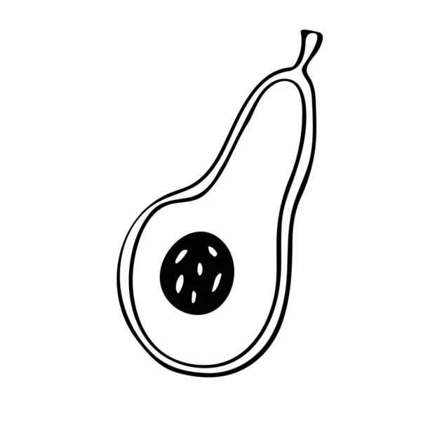 Illustrazione Doodle Vettoriale Avocado Ortaggio Sano Disegnato Mano Isolato Sfondo — Vettoriale Stock