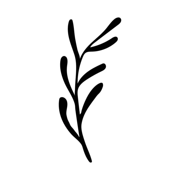 Векторная Каракули Иллюстрация Potherbs Ручной Рисунок Здорового Сельскохозяйственного Овоща Изолированы — стоковый вектор