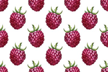 Elle çizilmiş ahududu resmi. Böğürtlenli kusursuz desen. Çiftlikte yetişen organik meyveler.