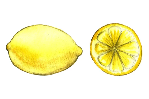 レモンの手描きイラスト 白い背景に孤立した果物の絵 農場で栽培された有機果実 — ストック写真