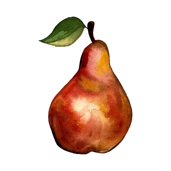 Handgezeichnete Illustration Der Birne Fruchtzeichnung Isoliert Auf Weißem Hintergrund Bio — Stockfoto