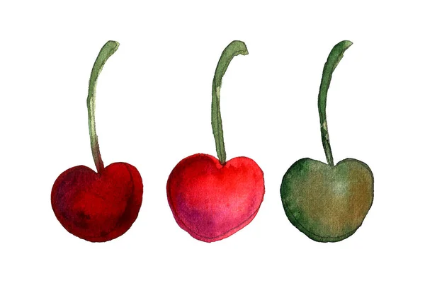 手工画出樱桃的图解 在白色背景下孤立地提取浆果 农场种植的有机水果 — 图库照片